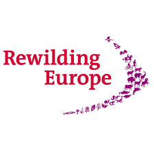 rewilding europe